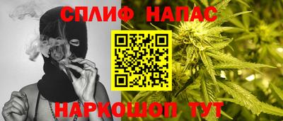 ECSTASY Будённовск